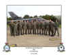 MSgt Matthew R. "Mad Dog" Becker with RAF/USAF Teambuilding classes at RAF Marham
